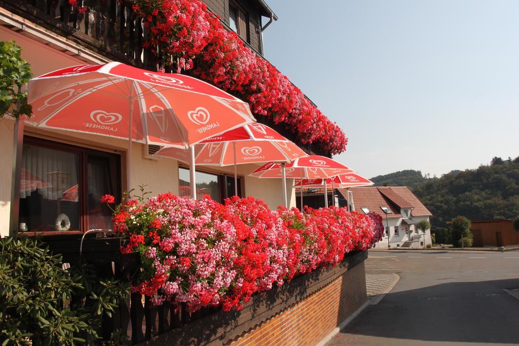 Landgasthof Hotel Sauer Willingen  Esterno foto
